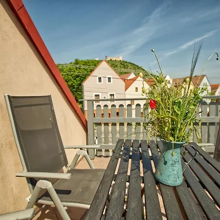 Vila Ochutnej Palavu - Apartman Riesling 别墅